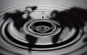 Oil deception